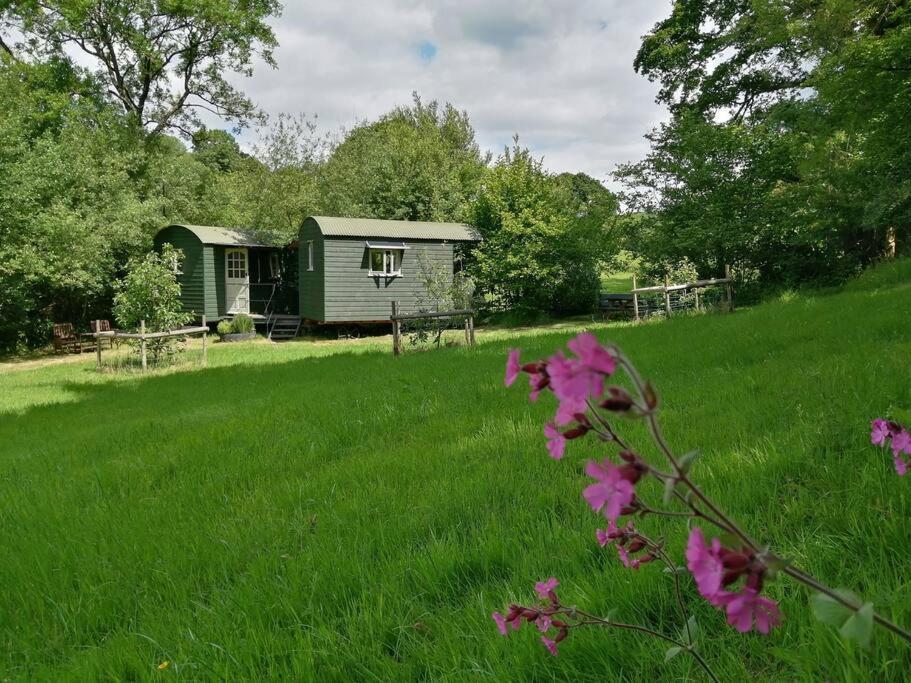 Penn Bergeyn Shepherd'S Huts Exeter Bagian luar foto
